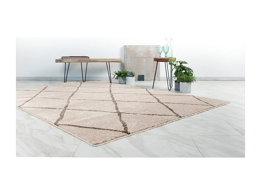 Alfombra 290x200cm, diseño A105R en color beige - Confort y elegancia para tu interior.