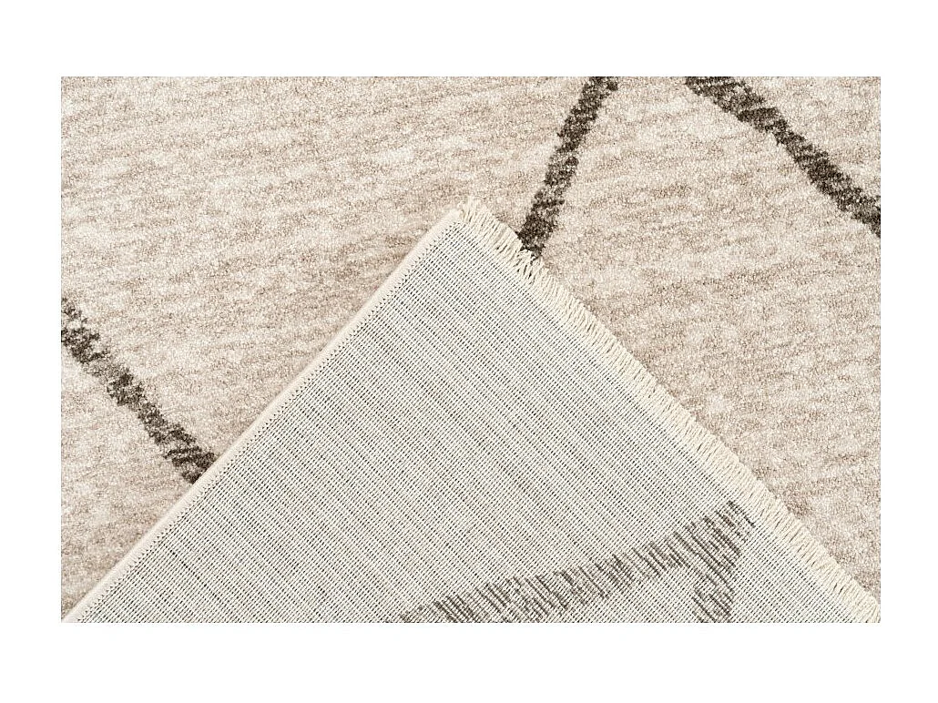 Alfombra 290x200cm, diseño A105R en color beige - Confort y elegancia para tu interior.