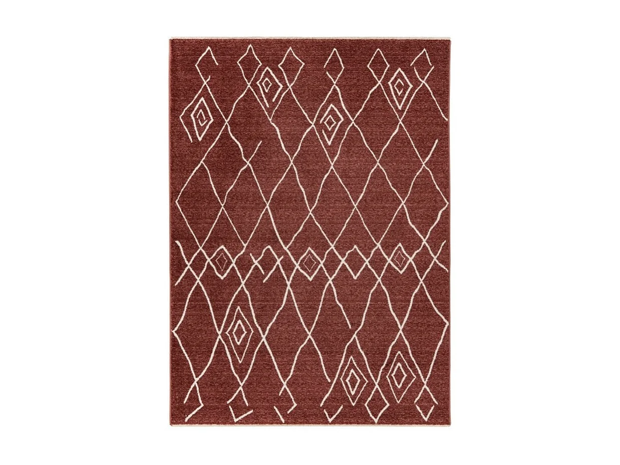 Teppich 230x160cm, Design A205R, Farbe Terrakotta - Komfort und Eleganz für Ihr Interieur