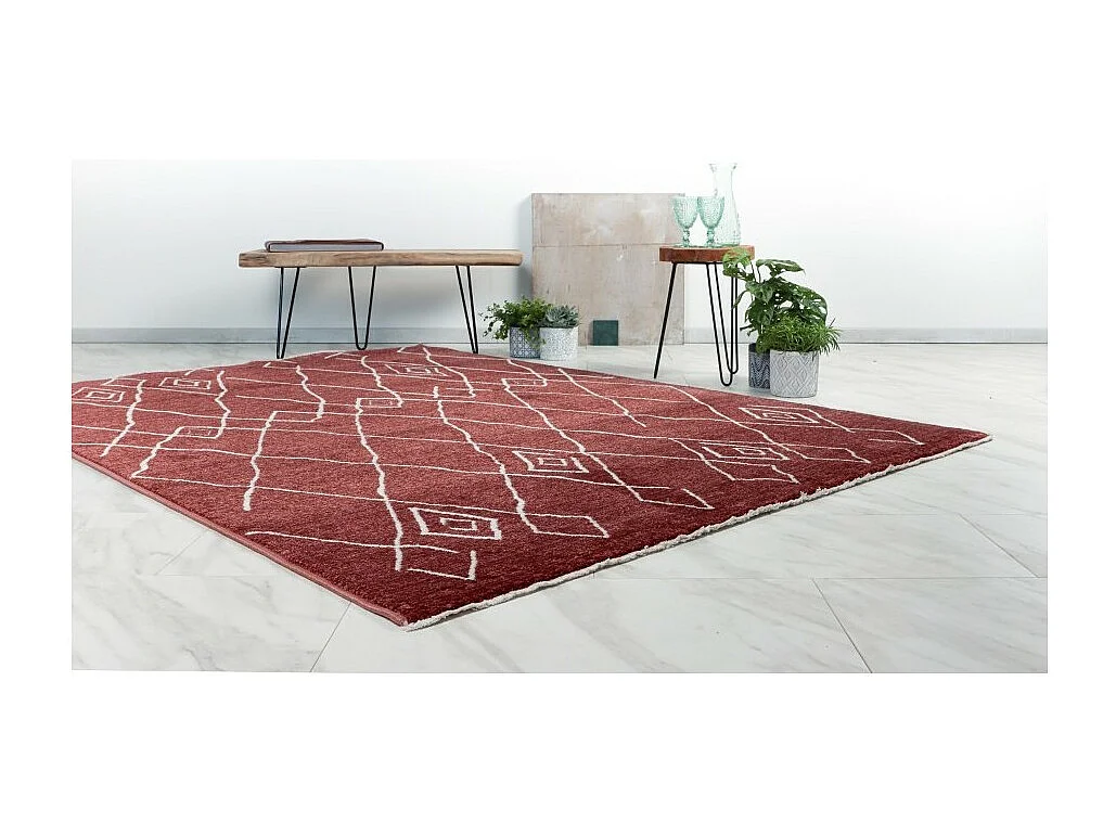 Tapis 230x160cm, design A205R coloris terracotta - Confort et élégance pour votre intérieur