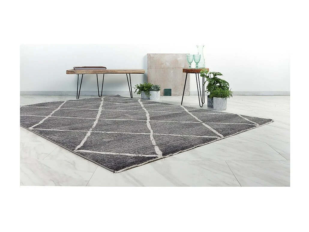Tapis 230x160cm, design A105R coloris gris - Confort et élegance pour votre intérieur