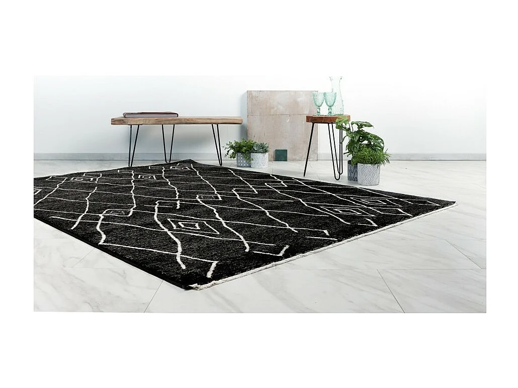 Tapis 290x200cm, design A205R coloris graphite - Confort et élégance pour votre intérieur