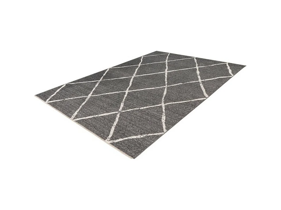 Tapis 290x200cm, design A105R coloris gris - Confort et élégance pour votre intérieur