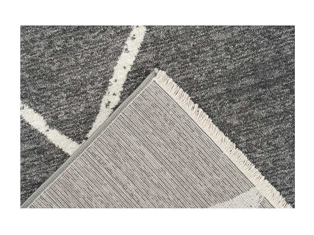 Tapis 290x200cm, design A105R coloris gris - Confort et élégance pour votre intérieur