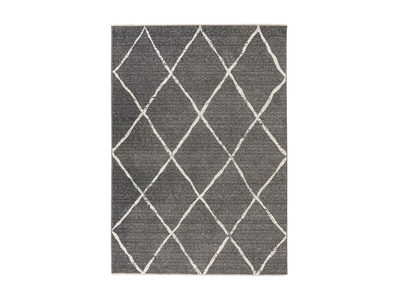 Tapis 290x200cm, design A105R coloris gris - Confort et élégance pour votre intérieur