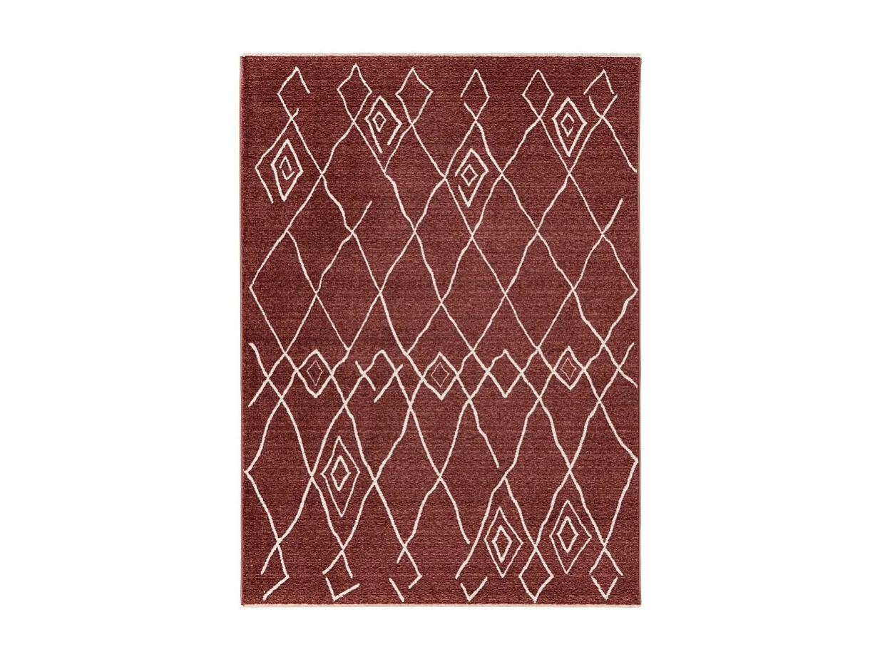Teppich 170x120cm, Design A205R Farbe Terrakotta - Komfort und Eleganz für Ihr Interieur