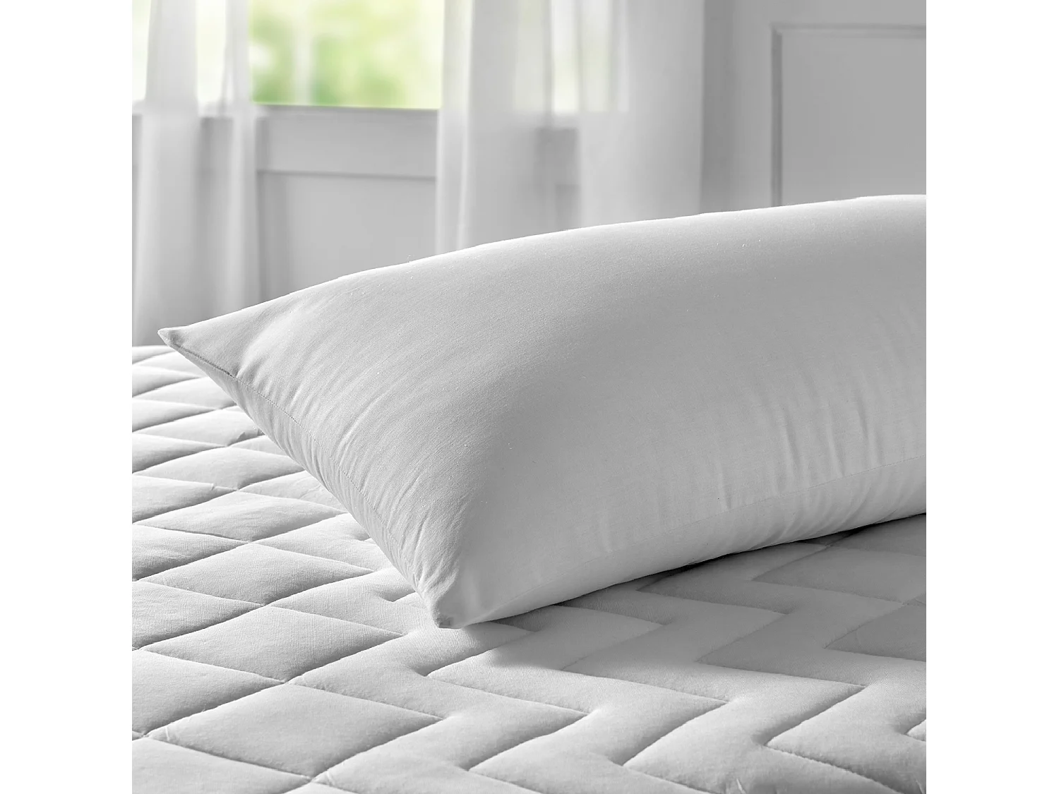 Oreiller dur 100% coton anti-acariens