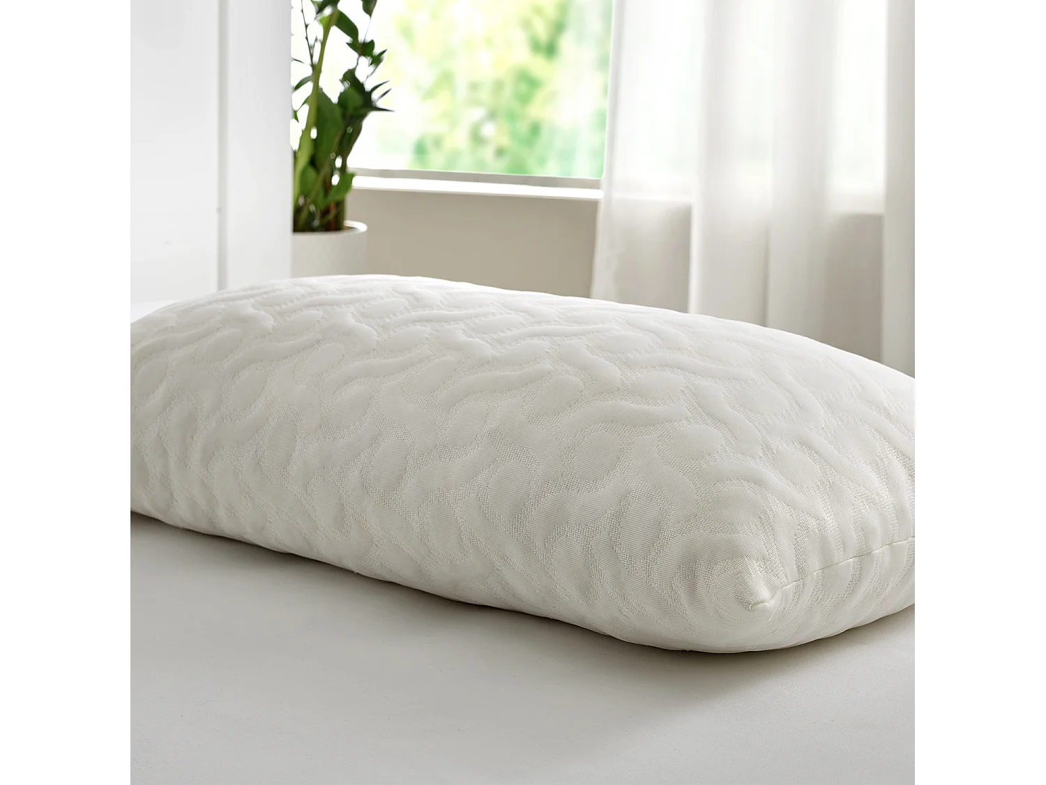 Oreiller viscoélastique confortable avec flocons d'Aloe Vera