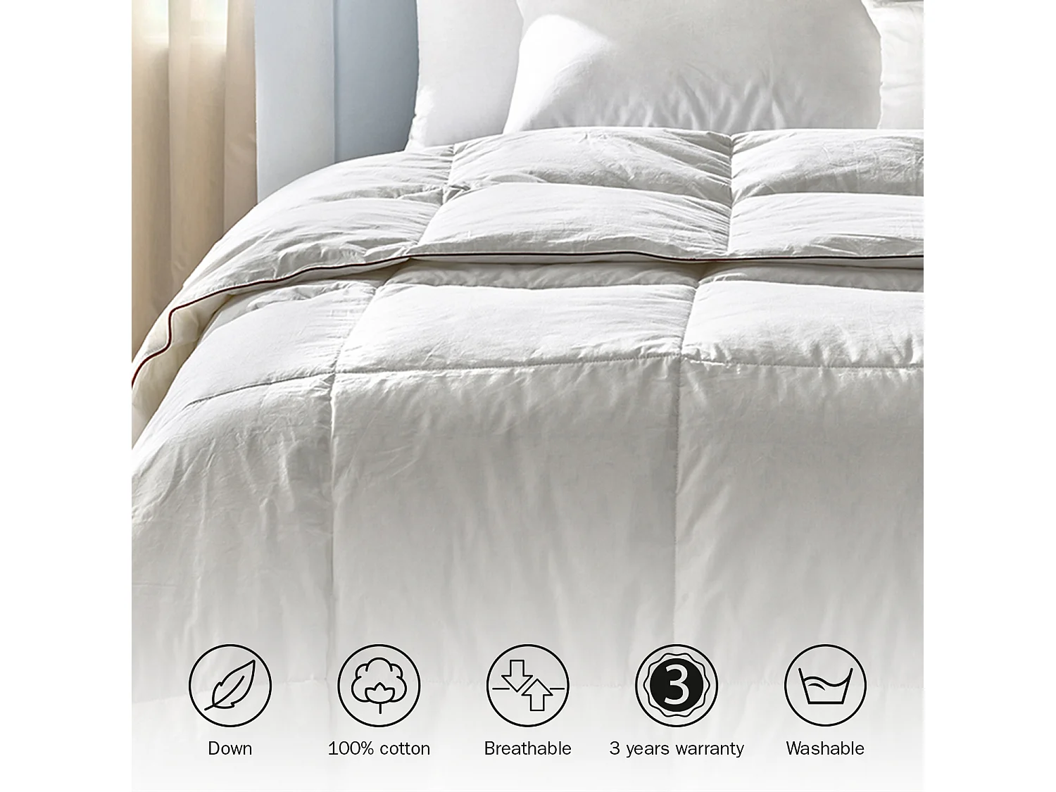 Piumone in 90% piumino 250gr Traspirante