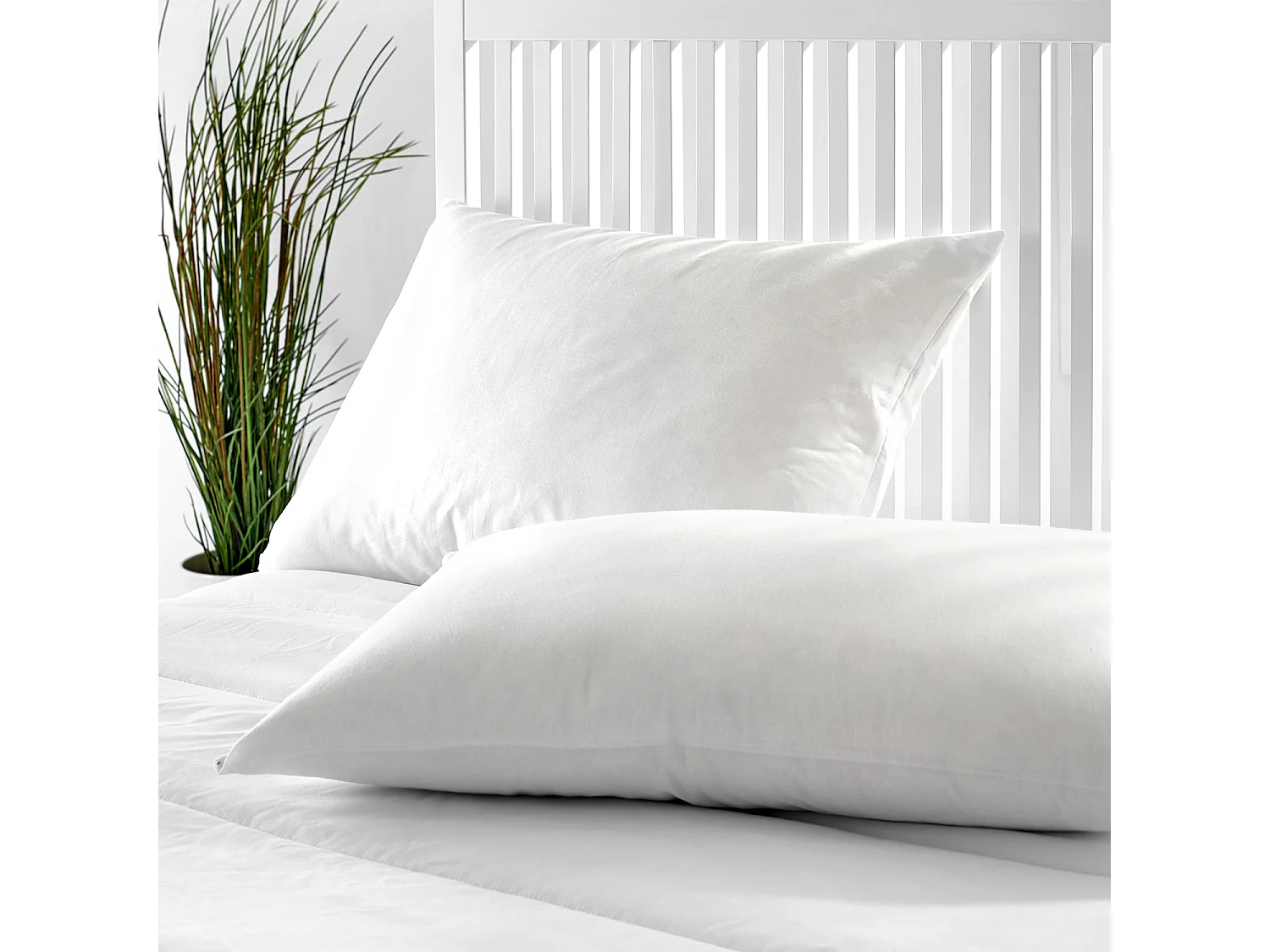 Oreiller de 40 x 75 cm en plumes d'oie et duvet de 11 cm - NATURAL de PIKOLIN