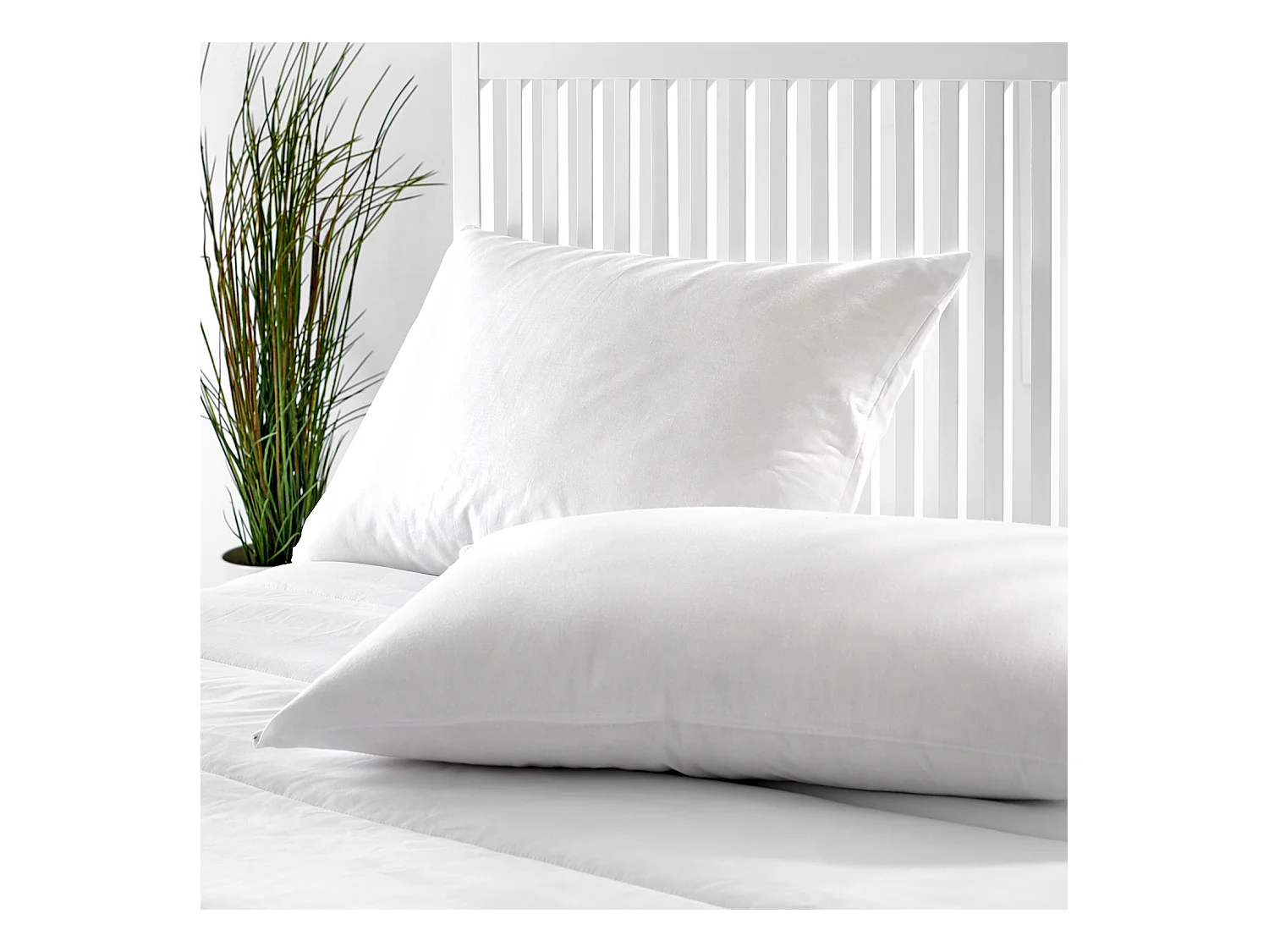 Oreiller en duvet 50% faible fermeté