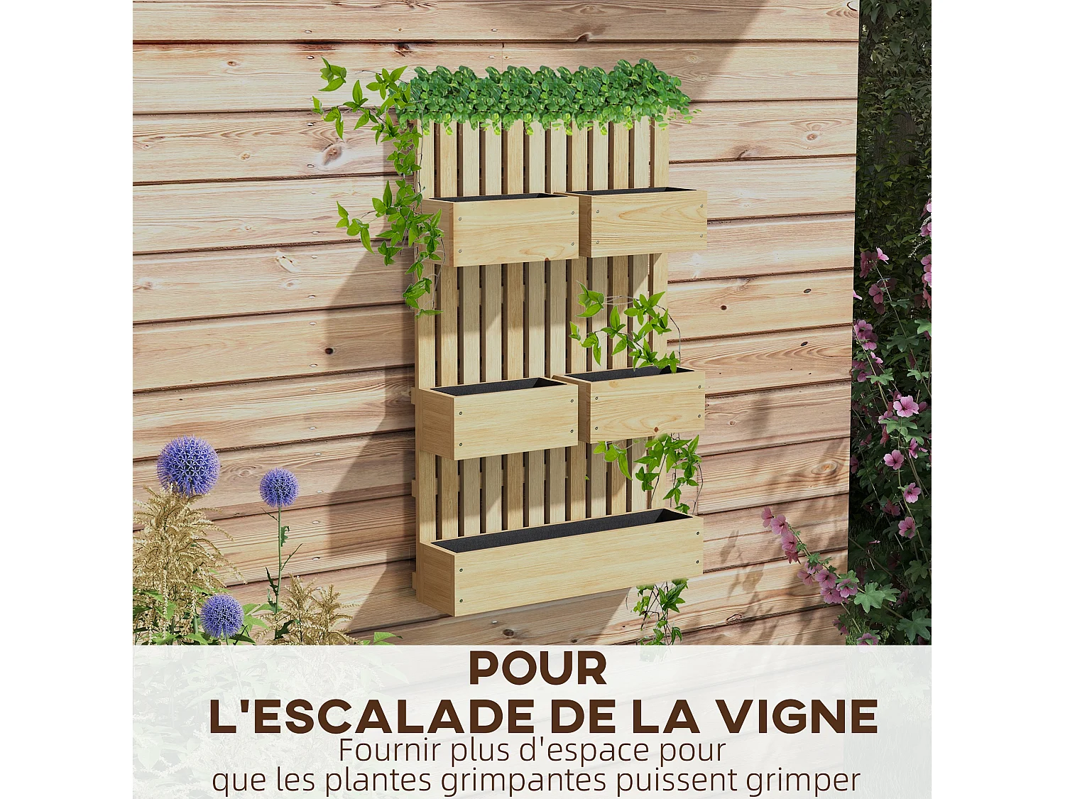 Jardinière murale potager avec 5 bacs amovibles ajustables - dim. 60L x 16l x 100H cm - bois sapin verni