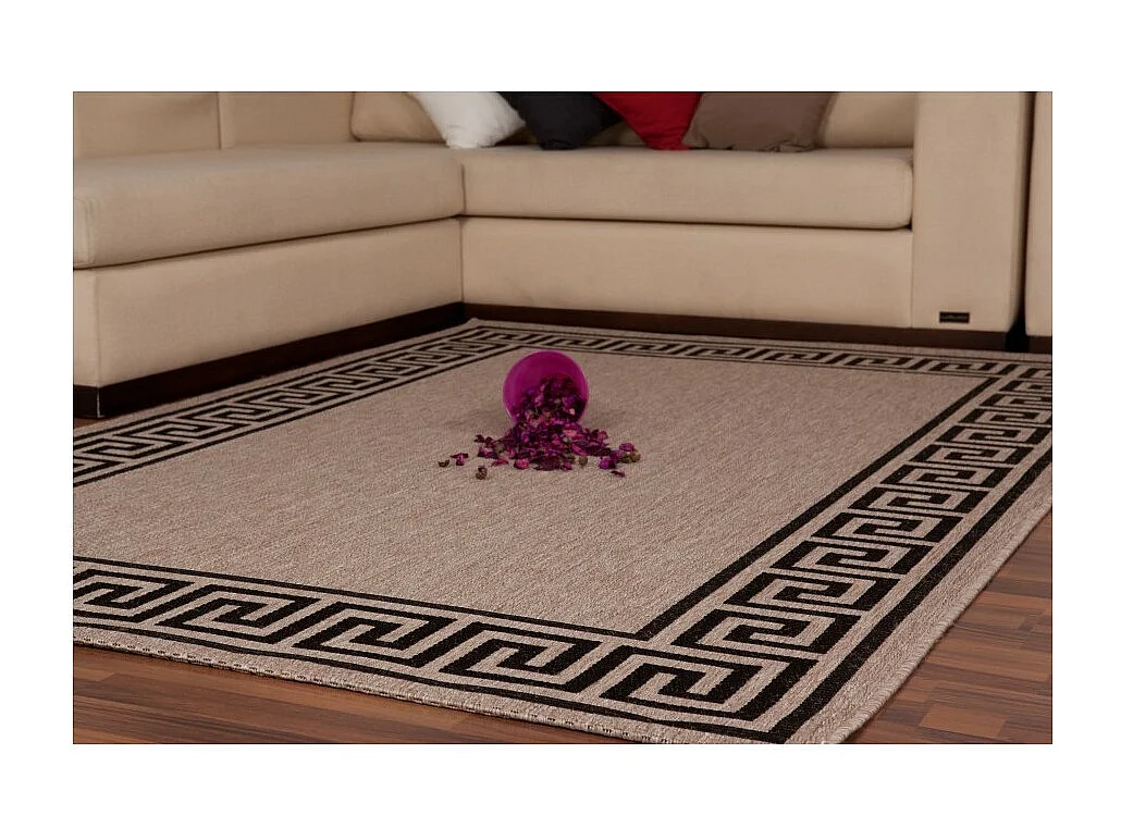 Tapis 170x120cm, design F205A coloris argent - Confort et élégance pour votre intérieur