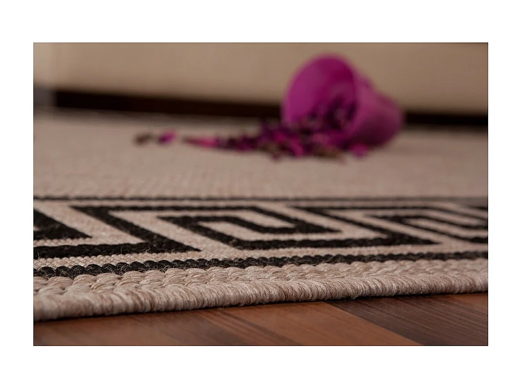 Tapis 170x120cm, design F205A coloris argent - Confort et élégance pour votre intérieur