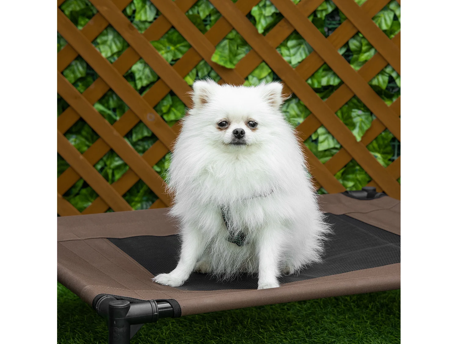 Lit pour chien chat sur pieds tissu oxford textilène micro-perforé 76L x 61l x 18H cm marron noir