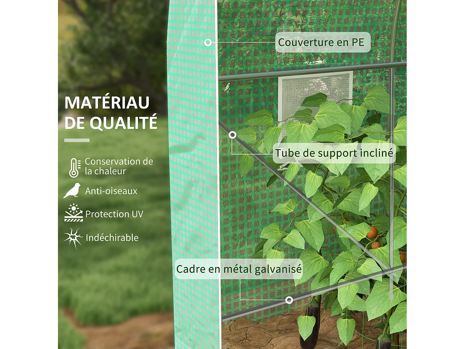 Serre de jardin tunnel surface sol 6 m² châssis tubulaire renforcé vert