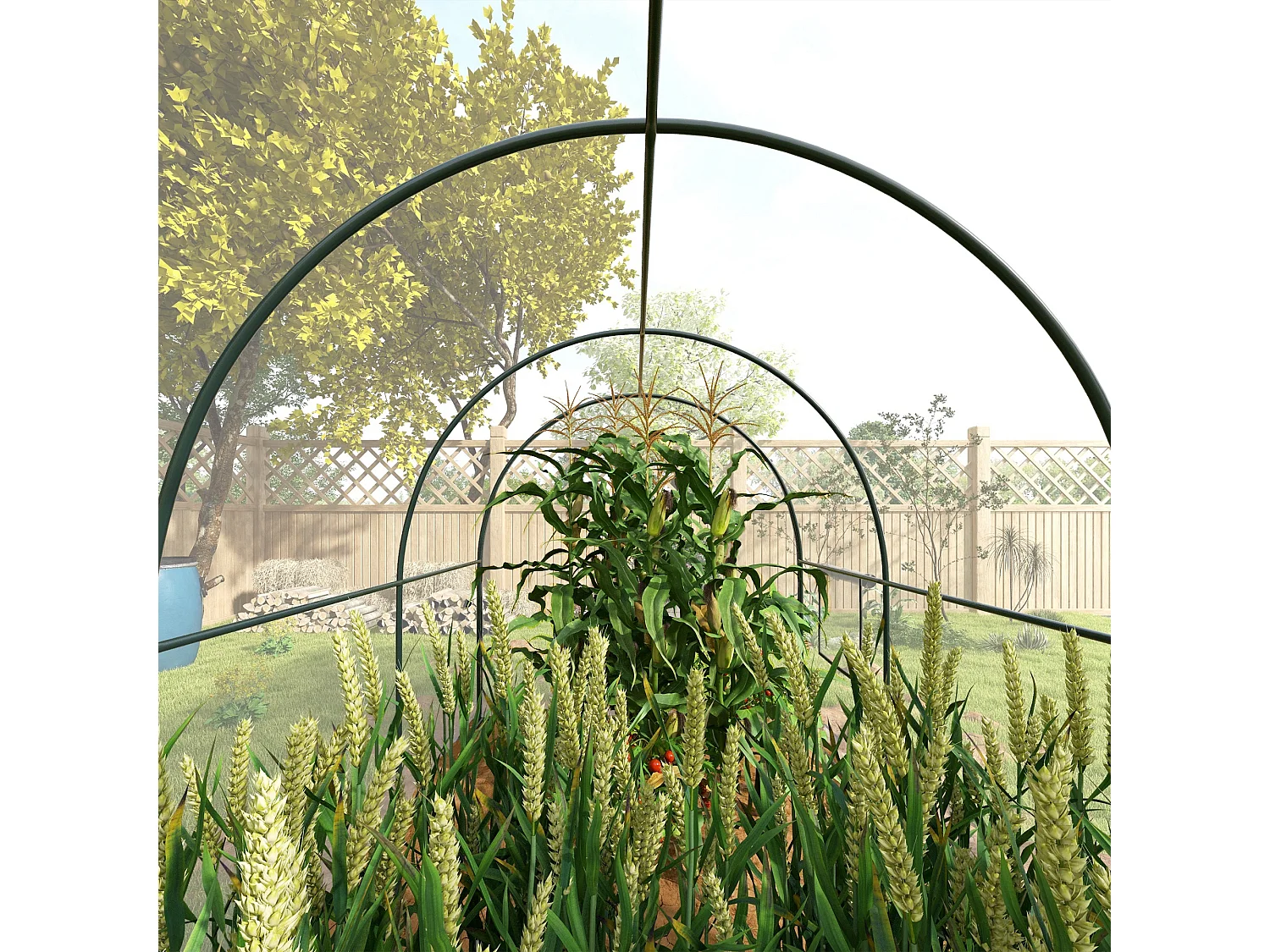 Serre tunnel serre à tomates surface sol 6 m² 3L x 2l x 2H m