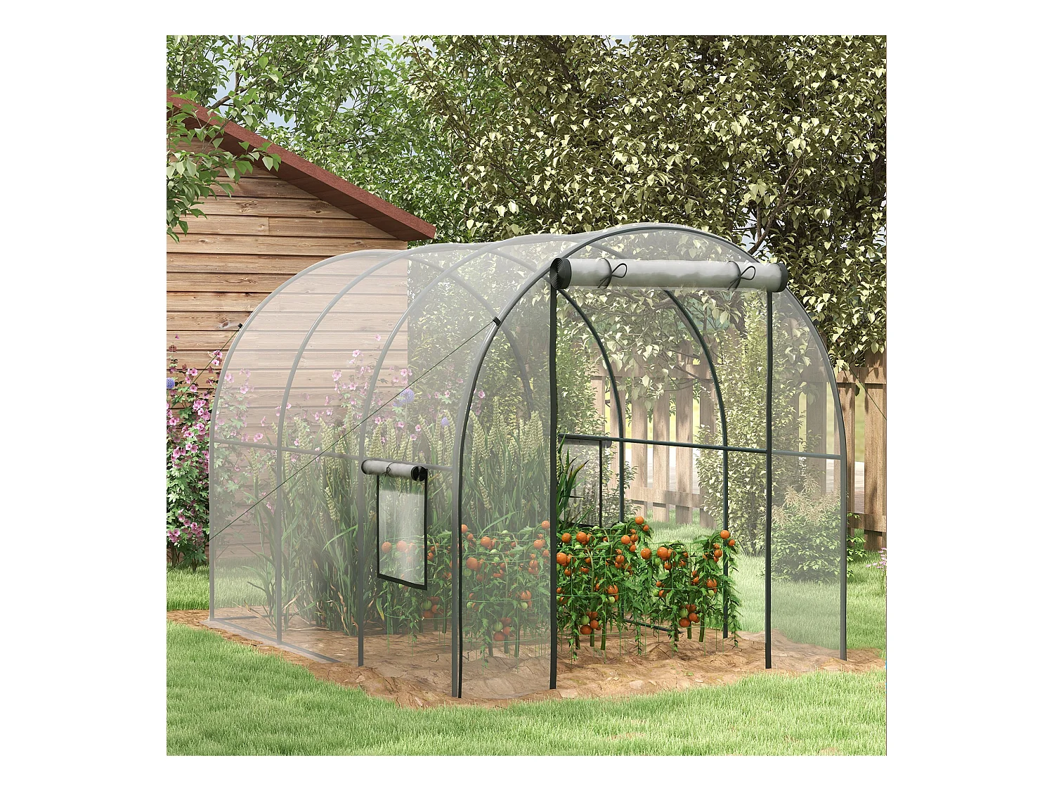 Serre tunnel serre à tomates surface sol 6 m² 3L x 2l x 2H m