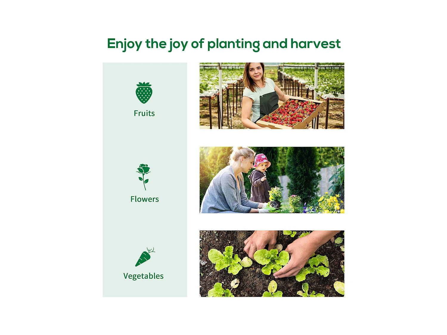 Serre tunnel serre à tomates surface sol 6 m² 3L x 2l x 2H m