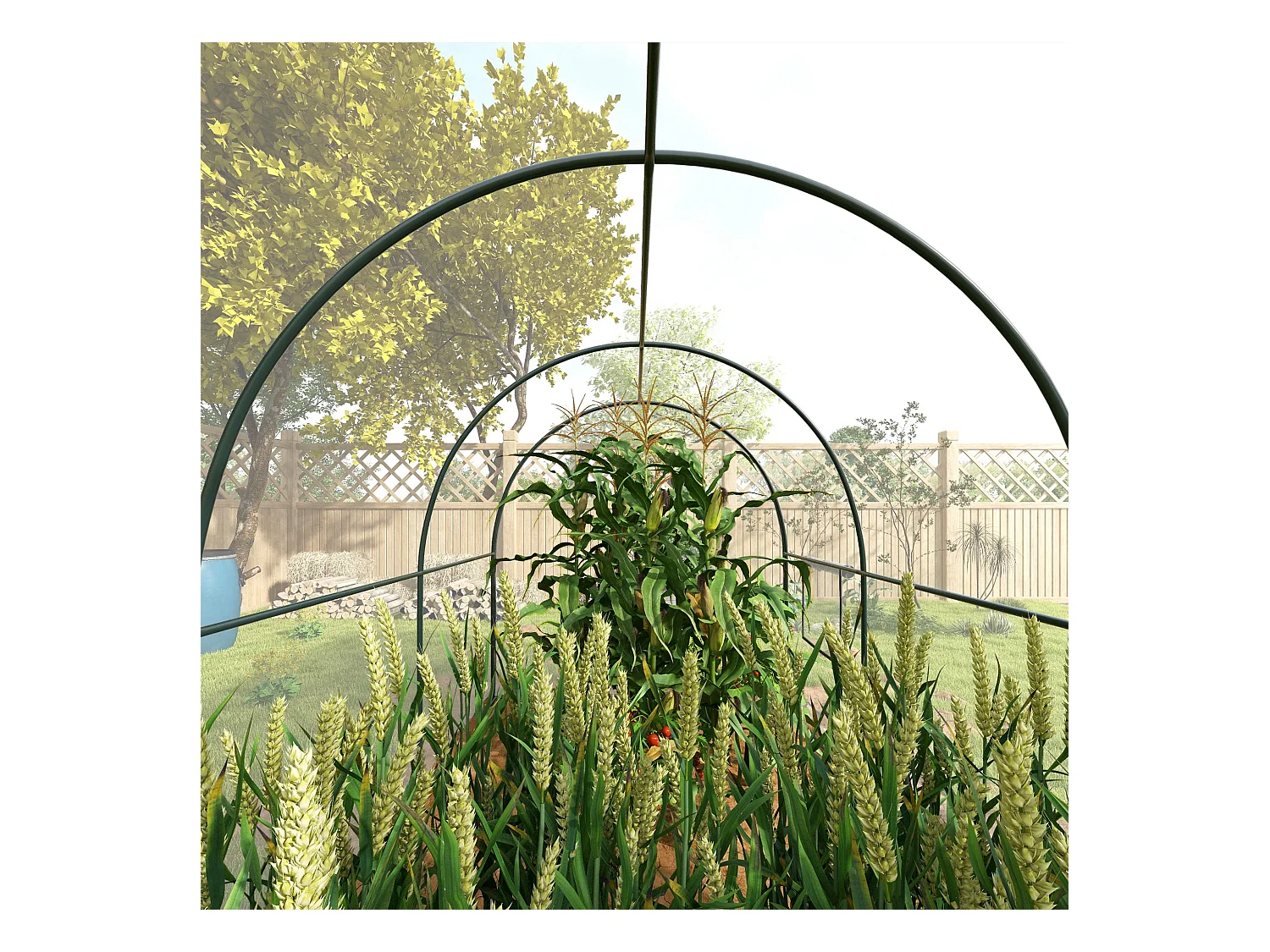 Serre tunnel serre à tomates surface sol 6 m² 3L x 2l x 2H m