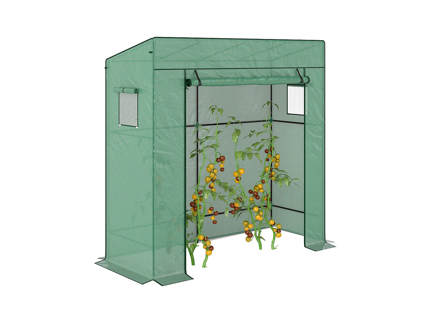 Serre de jardin murale serre adossée porte 2 fenêtres