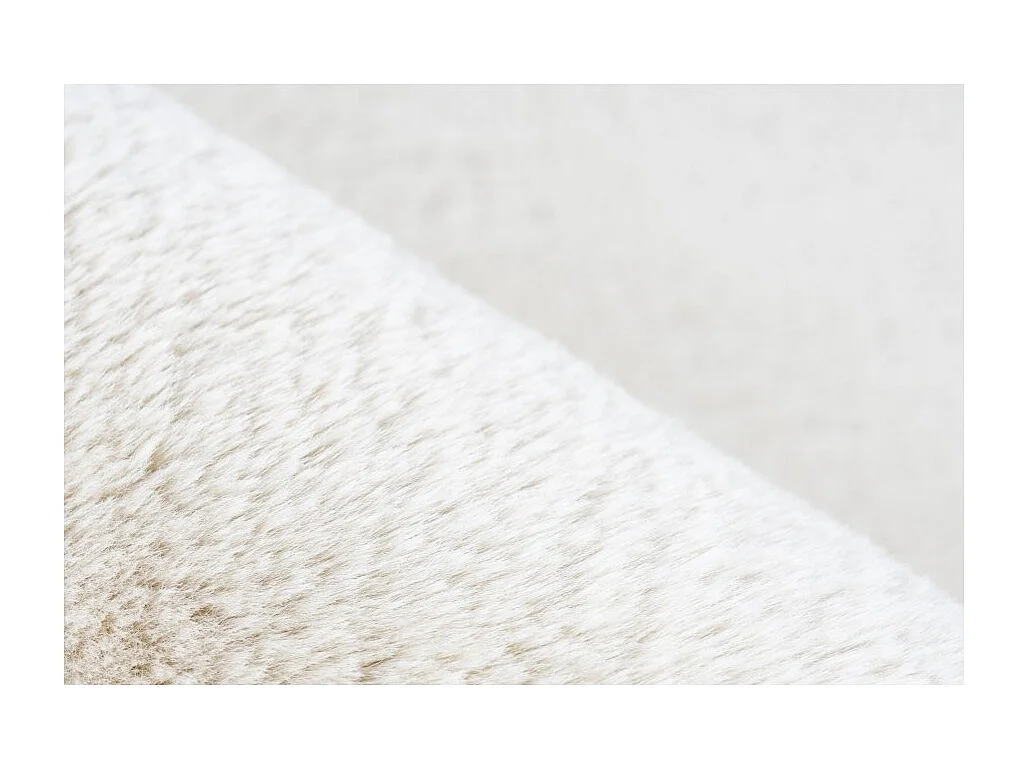 Teppich 230x160cm, Design E005N, Farbe Creme - Komfort und Eleganz für Ihr Interieur