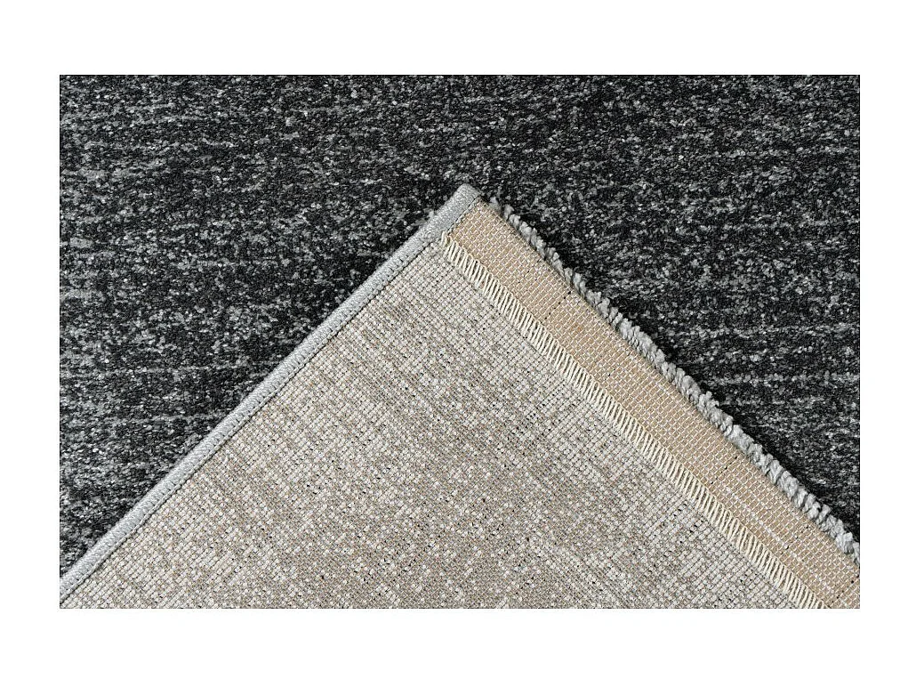 Tapis 290x200cm, design F205G coloris argent - Confort et élégance pour votre intérieur