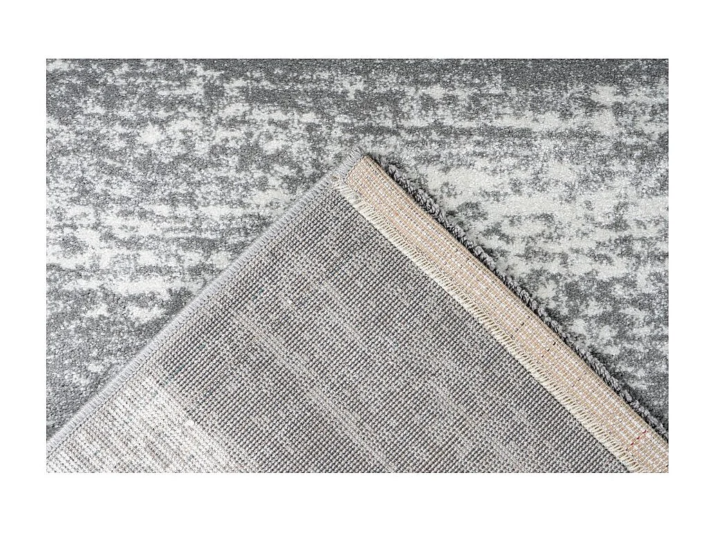 Tapis 290x200cm, design F005G coloris argent - Confort et élégance pour votre intérieur