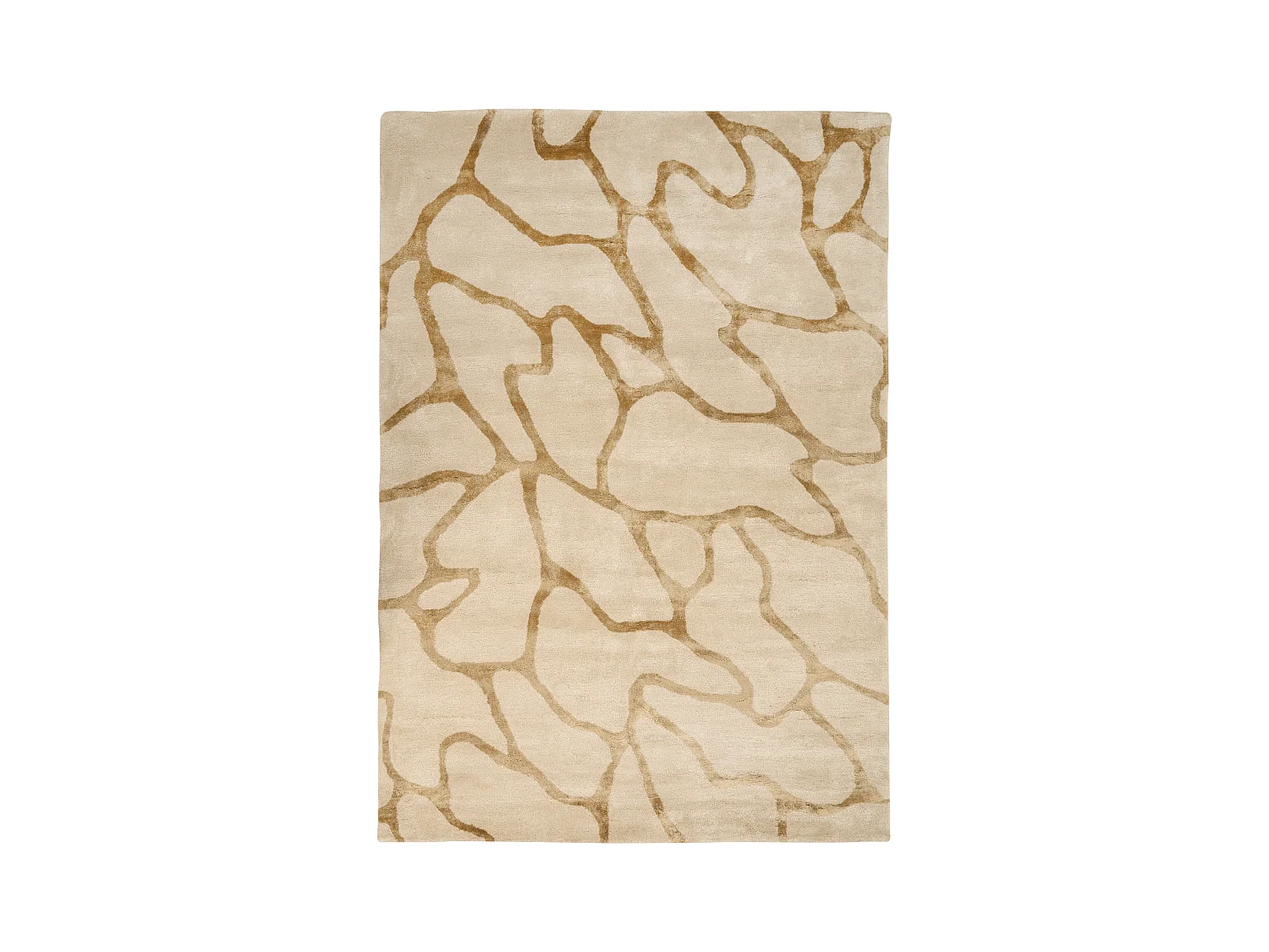 Tapis MAKOLA Beige 160 x 230 cm Soie artificielle