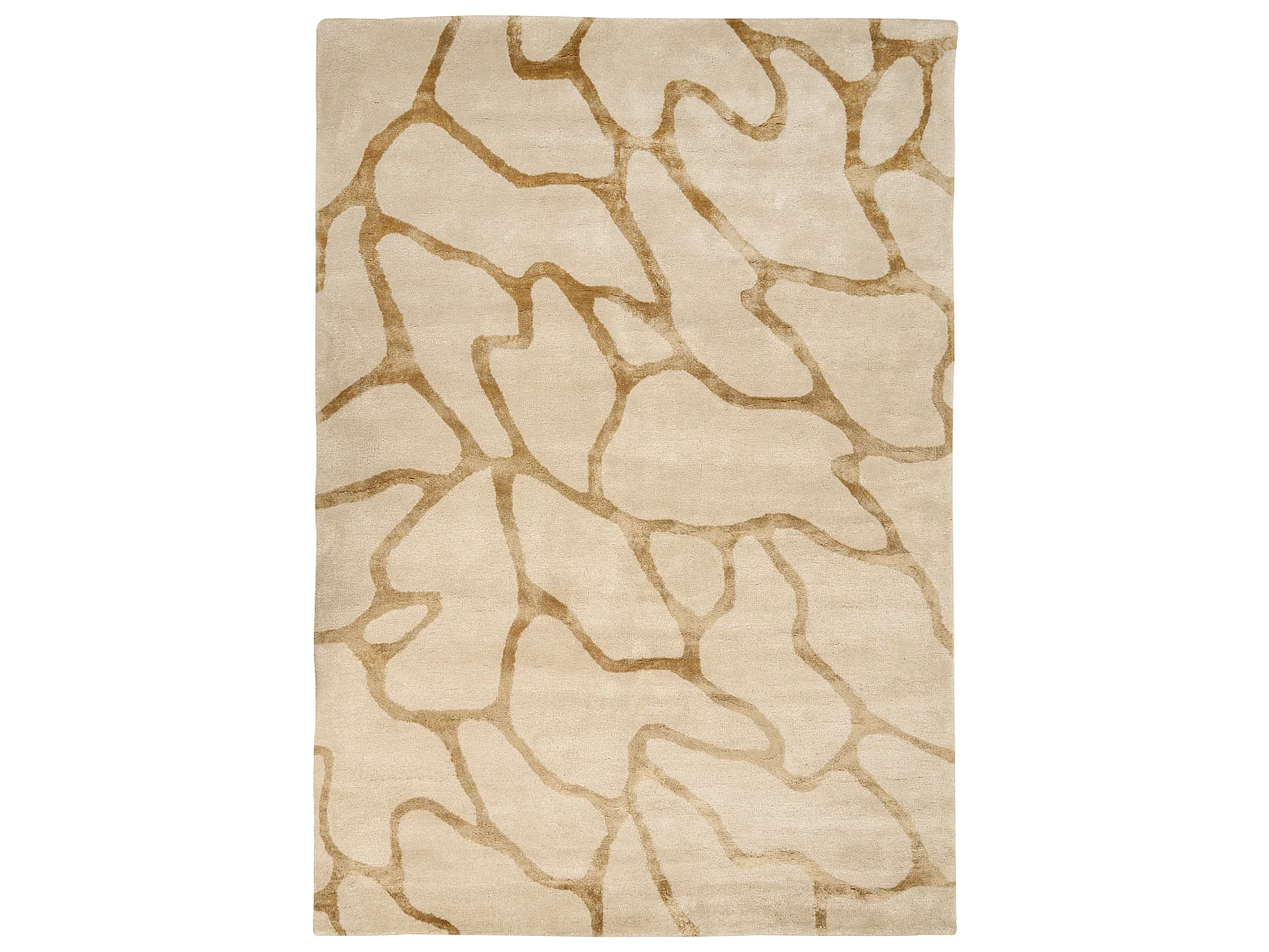 Teppich Viskose beige 160 x 230 cm geometrisches Muster Kurzflor MAKOLA