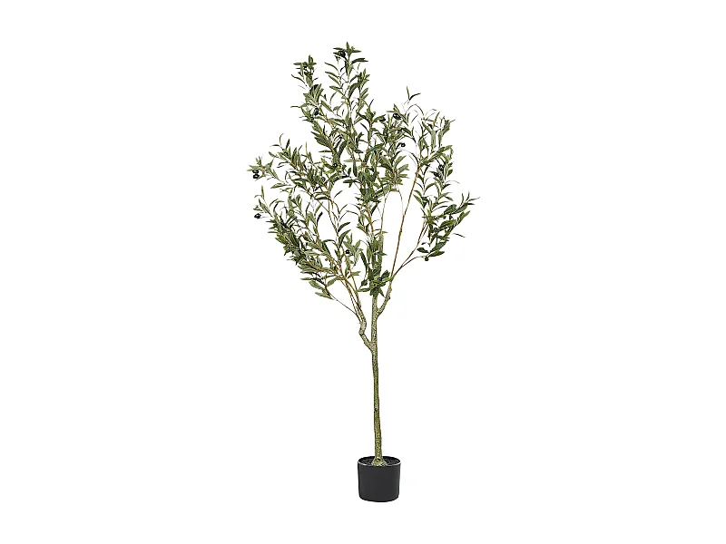 Plante artificielle OLIVE TREE 153 cm Vert