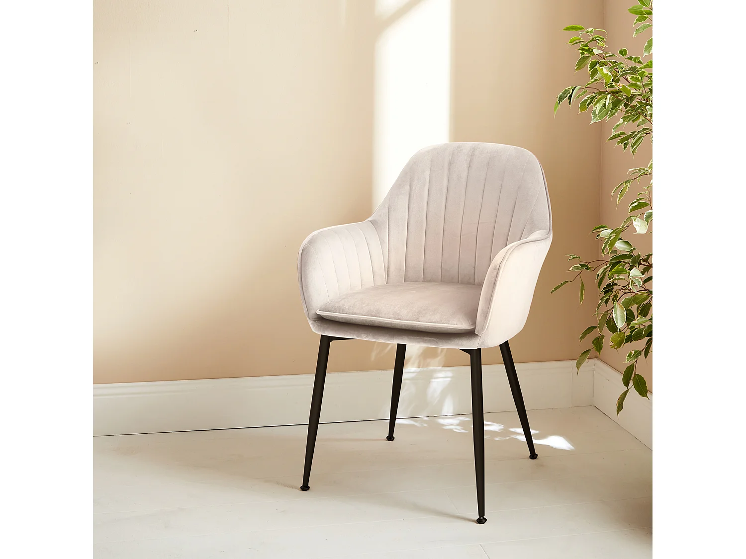 Poltrona in velluto con gambe in metallo, bianco sporco