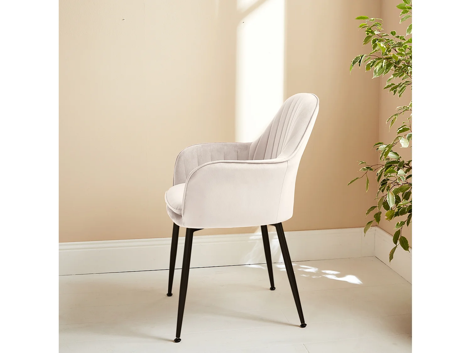 Poltrona in velluto con gambe in metallo, bianco sporco