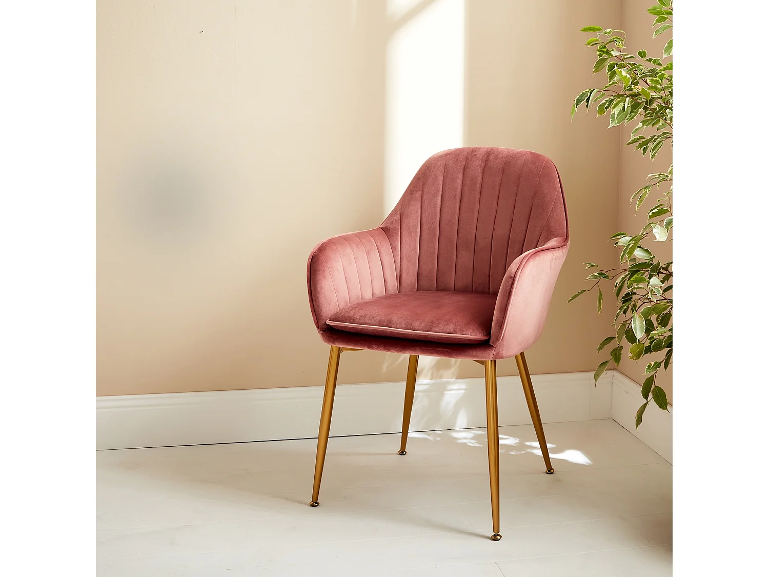 Fauteuil en velours vieux rose et pieds en métal doré. Shella L 58 x P 58 x H 85