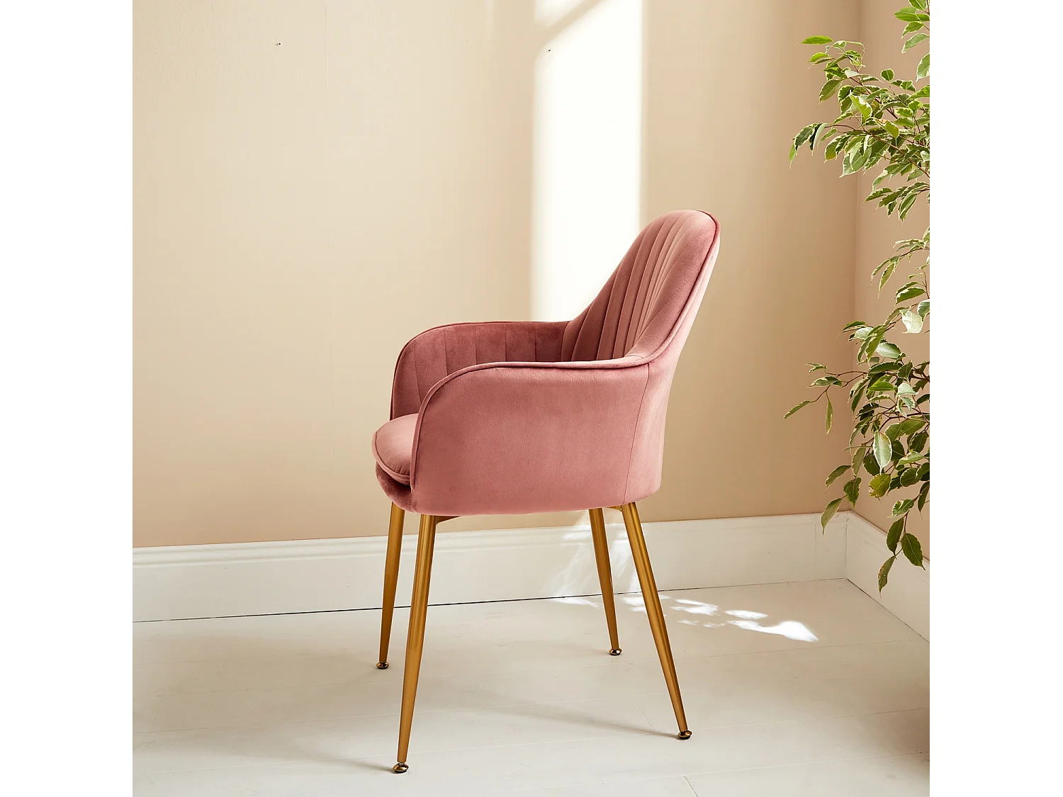 Fauteuil en velours vieux rose et pieds en métal doré. Shella L 58 x P 58 x H 85