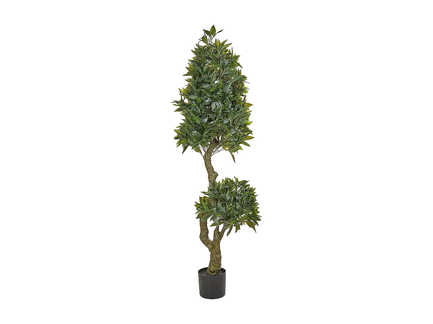 Pianta artificiale in vaso 160 cm LAURELE