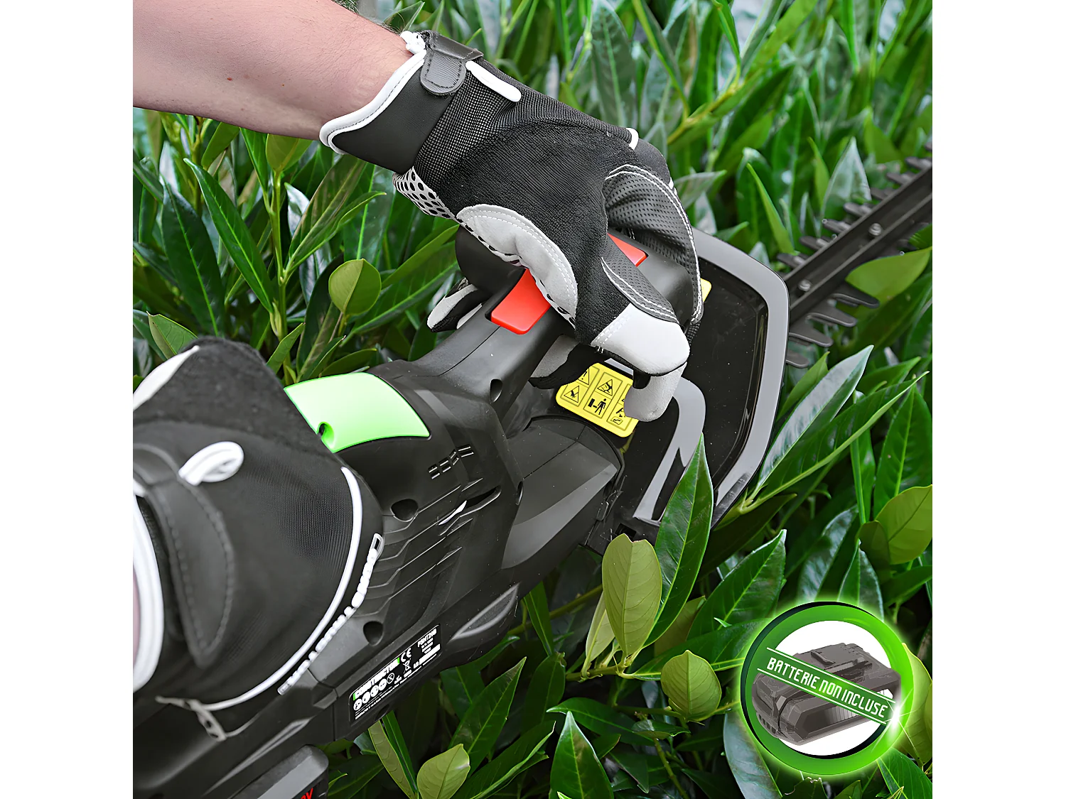 Taille haies 20v max sans batterie - Lame 55cm - Capacité de coupe 16mm -  Constructor