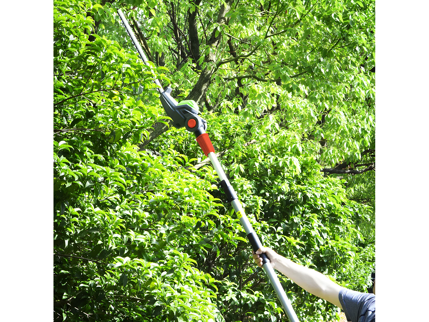 Taille haies sur perche 20V max sans batterie - Lame 51cm - Constructor