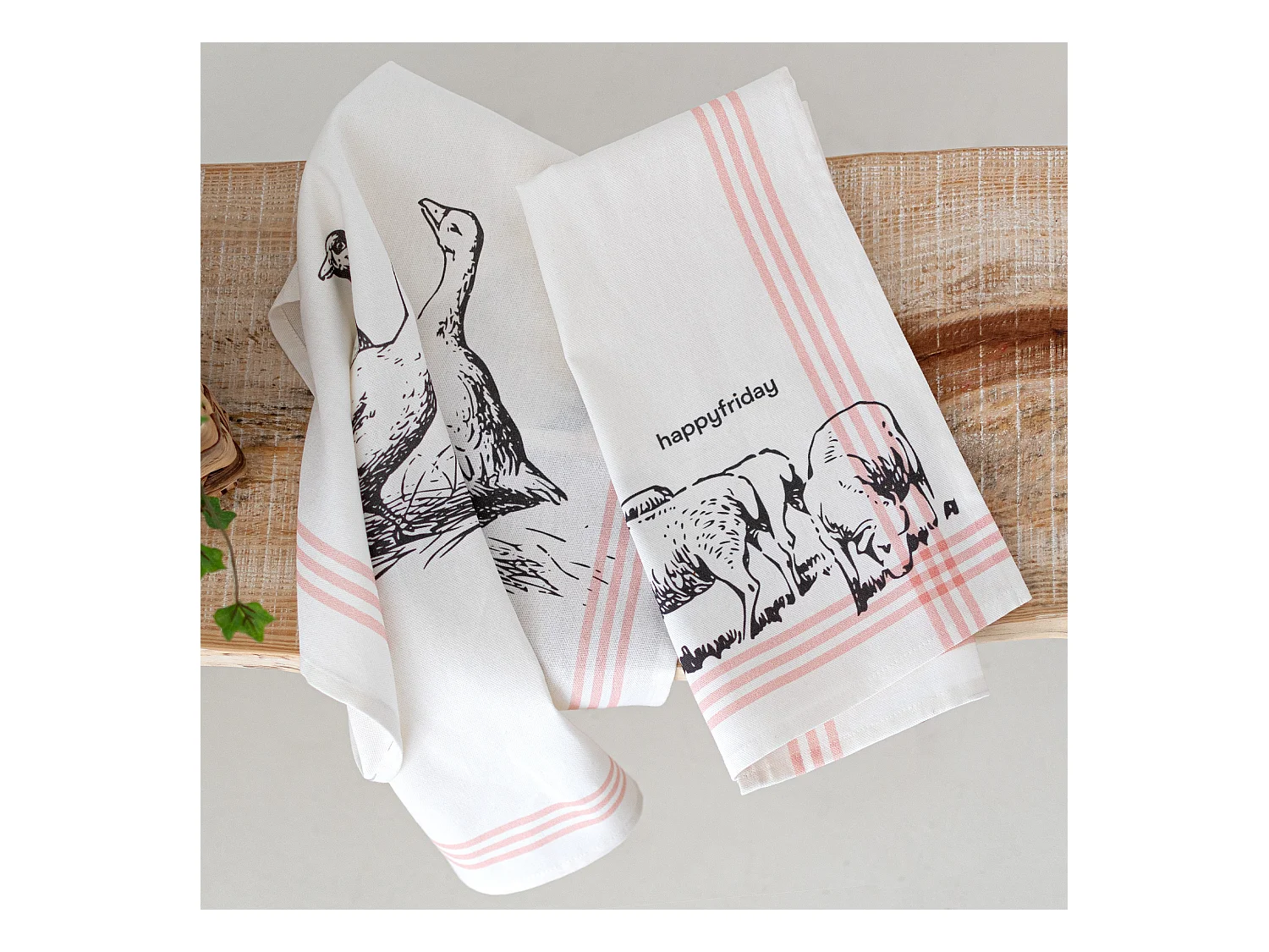 Küchentuch 2 Stück 70x50 cm Cua cua