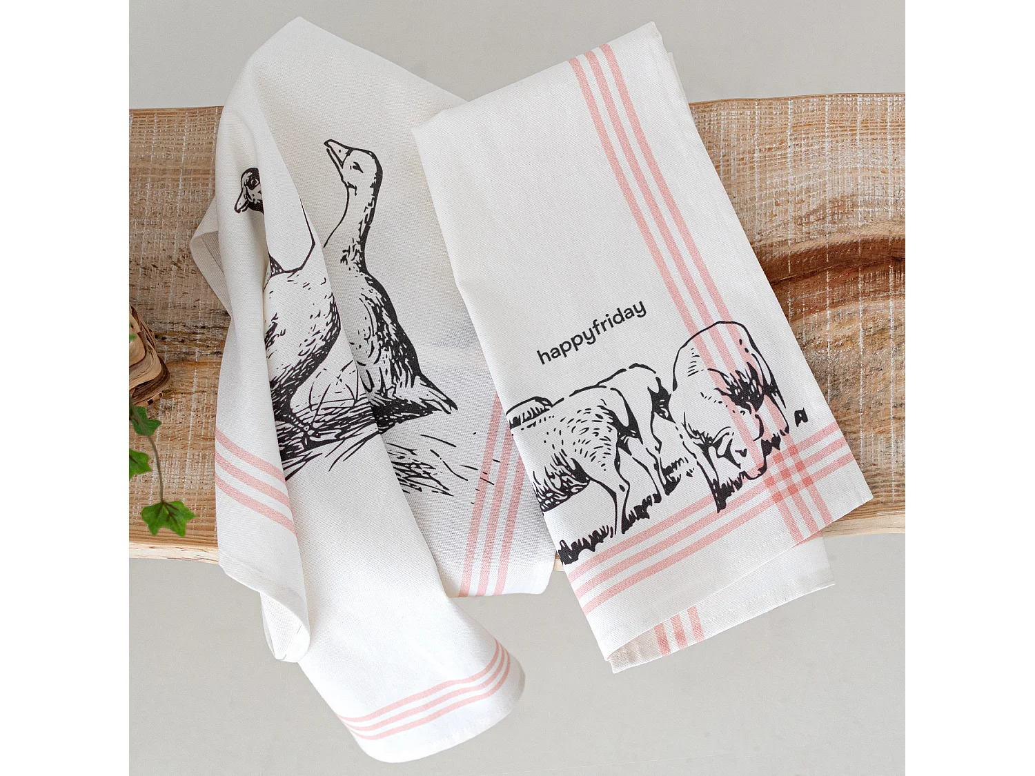 Küchentuch 2 Stück 70x50 cm Cua cua