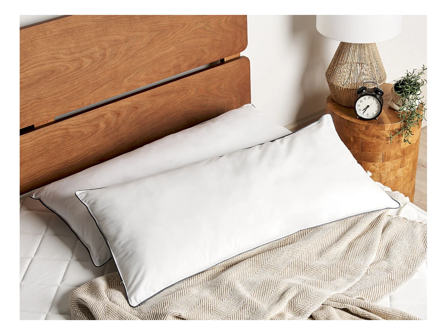 Lot de 2 oreillers PELISTER Haut Microfibre 40 x 80 cm Blanc