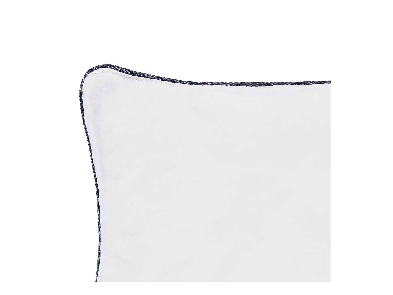 Lot de 2 oreillers PELISTER Haut Microfibre 40 x 80 cm Blanc