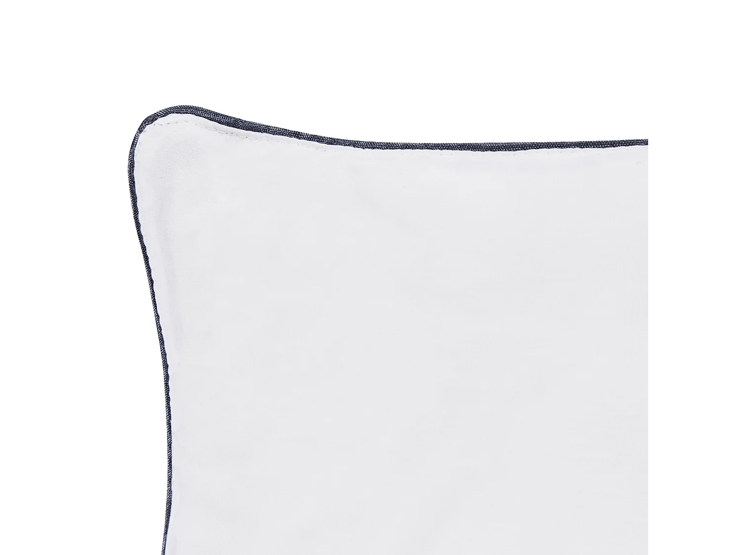Conjunto de 2 almofadas PELISTER Alta Microfibra 40 x 80 cm Branco