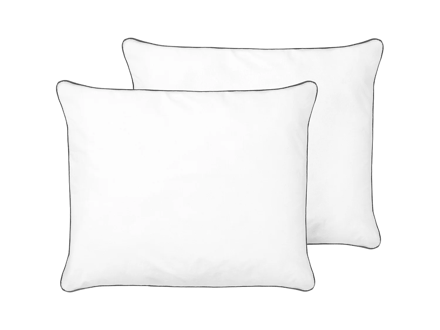 Lot de 2 oreillers PELISTER Haut Microfibre 50 x 60 cm Blanc