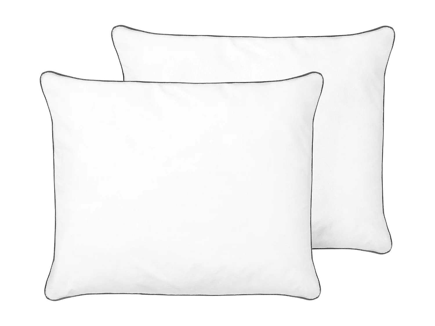 Conjunto de 2 almohadas PELISTER Alta Microfibra 50 x 60 cm Blanco