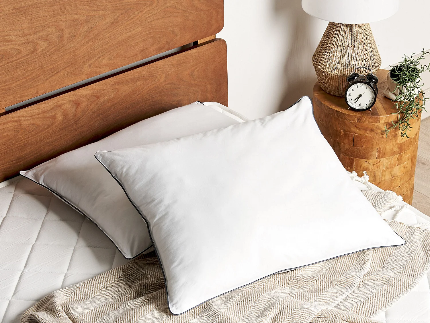 Conjunto de 2 almohadas PELISTER Alta Microfibra 50 x 60 cm Blanco