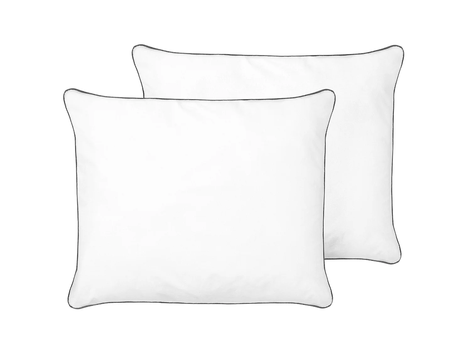 Lot de 2 oreillers PELISTER Haut Microfibre 50 x 60 cm Blanc