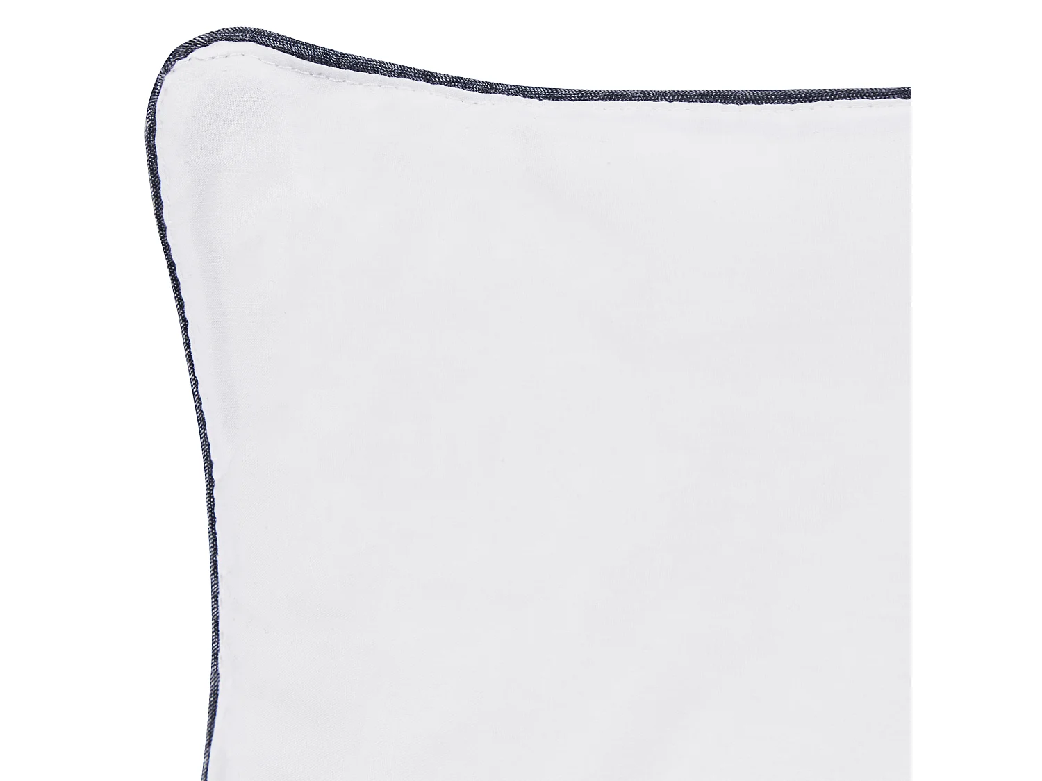 Lot de 2 oreillers PELISTER Haut Microfibre 50 x 60 cm Blanc