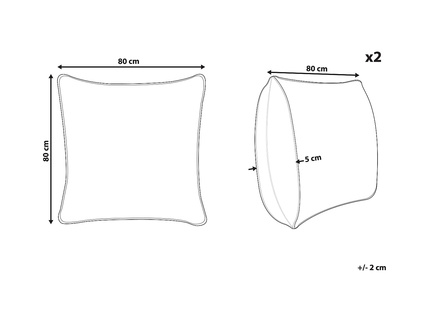 Lot de 2 oreillers PELISTER Haut Microfibre 80 x 80 cm Blanc