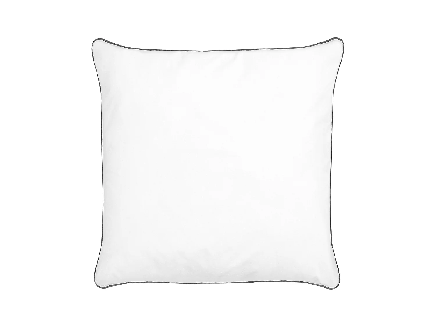 Lot de 2 oreillers PELISTER Haut Microfibre 80 x 80 cm Blanc